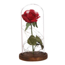 Best Gift Red Silk Rose in Glass Dome with LED on a Base for Home Decoration