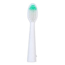 Waterproof Portable Electric Toothbrush AA Battery Brush with 2 Brush Heads
