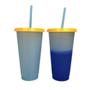 5 Cups Color Changing Cold Reusable Temperature Color Changing Cup
