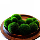 1pc Green Seaweed Ball Moss Live Aquarium Plant Fish Decoration Pet Supplie Nice