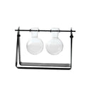 Hanging Flower vase Hydroponic Terrarium With Black Iron Stand 2 Beakers C