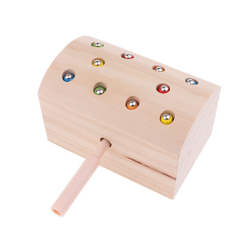 10pcs Insects Catch The Worm Game Toys Montessori Wooden Toys for Kids, Wood