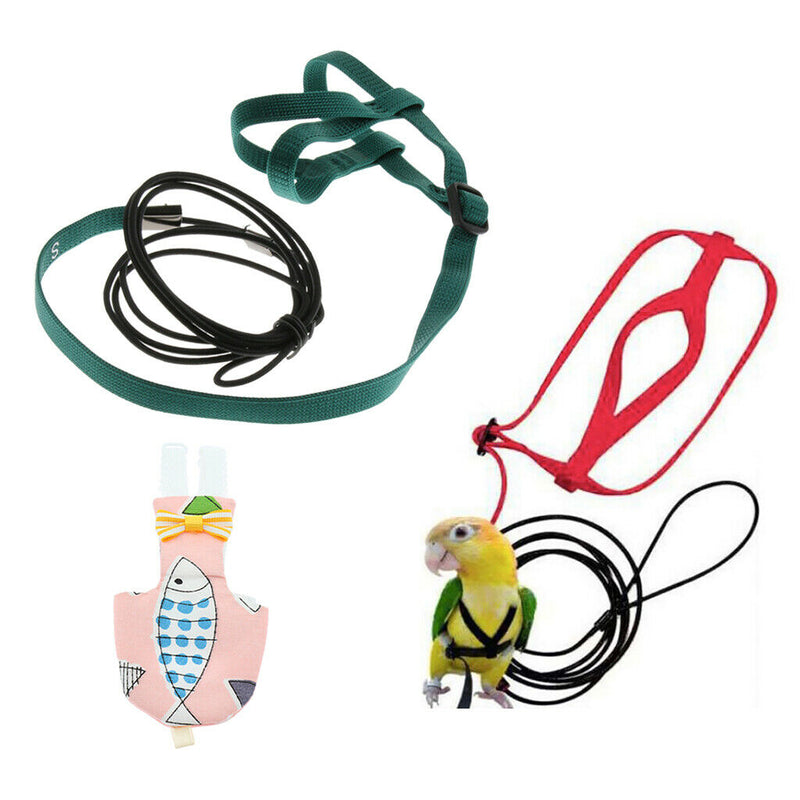 Pet Bird Parrot Nappy Diaper + Training Leash Harness Rope for Small Parrot