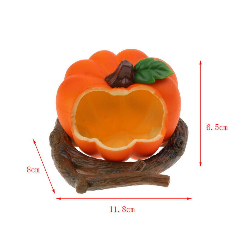 Pet Feeder Food Water Bowl Cups for Bird Parrot Pigeon Finch Pepper/Pumpkin
