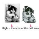 5D DIY Diamond Painting Thinking Dog Cross Stitch Embroidery Rhinestones