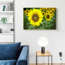 Sunflower 5D DIY Full Round Drill Diamond Painting Mosaic Beadwork (A919)