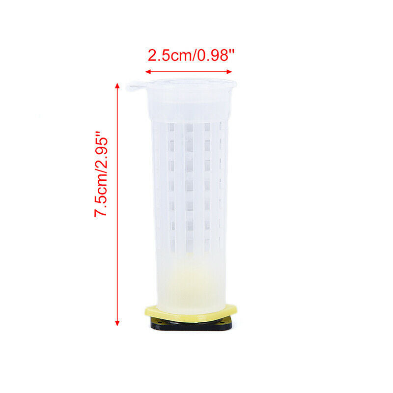 Beekeeping Tools Queen Rearing System Cultivating Box Plastic Bee Cell Cups  Gw