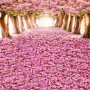 1.5m*1m Sakura Flower Road Photography Backdrop Cloth Wedding Background DIY