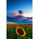 5D DIY Full Drill Diamond Painting Sunflowers Cross Stitch Embroidery Kits
