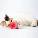 10x Colorful Balls Cat Toys Sm & Bulk Soft Plastic Ball Roll Quiet_Play