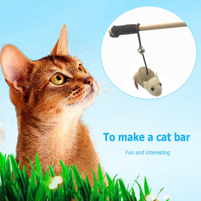 Pet Cat Teaser Interactive Toys for Kitten Sisal Feather Wood Catcher Wand A