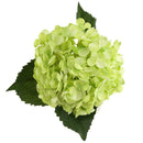 Silk Flower Hydrangea Floral Arrangement Home Table Centerpiece Decoration