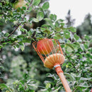 Fruit Picker Wire Picker Convenient Fruit Picker Gardening Peach Picking To