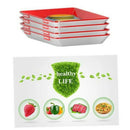 Fresh Food Preservation tray Organizer Pallet Refrigerator Food Kitchen Gadg-ME