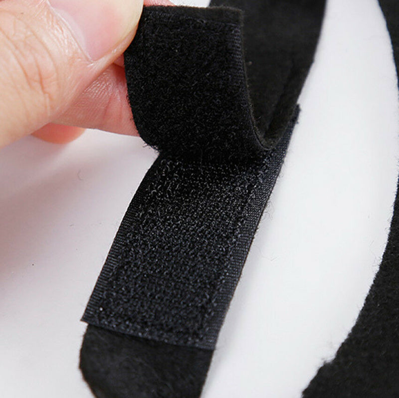 Animal Pet Dog Cat Bat Vampire Halloween Black Fancy Dress Costume Outfit Wings