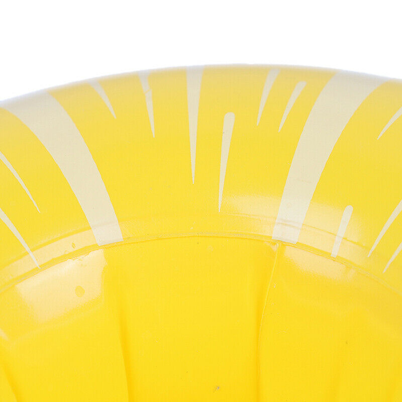 Cute Mini Fruit Floating Inflatable Drink Holder Swimming Pool Beach Party  JR