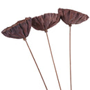 Lotus Natural Dried Flowers Bouquet Branch Decorations Floral for Party H-3C