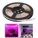 Grow Light Strip Small Plant Area Greenhouse Home Plant Flower Tape Light