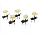 48pcs Fancy Ant Shape Cake Fruit Forks Black ABS Reusable Banquet Party Supply