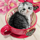 5D Diy Diamond Painting Teacup Cat Full Round Diamond Embroidery Cross Stit D5S8