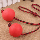 Indestructible Dog Ball on a Rope for Pet Puppy Toys Tug Balls Pet Chew Toys Z