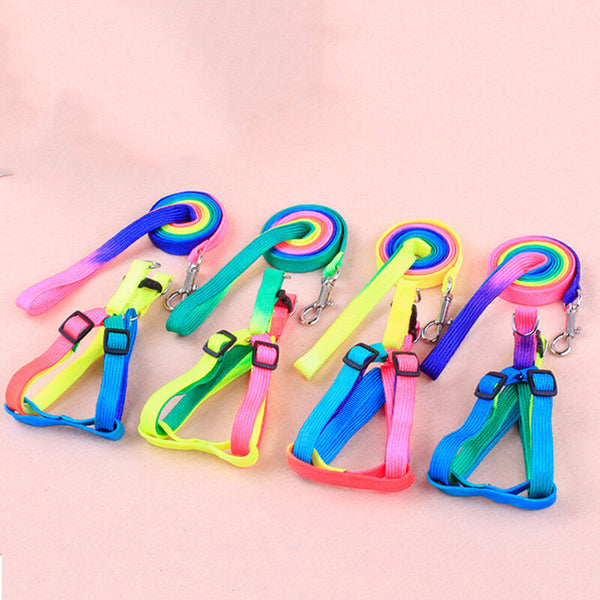 Pet Puppy Matching Nylon Harness Collar & Lead Set Leash Adjustable Rainbow