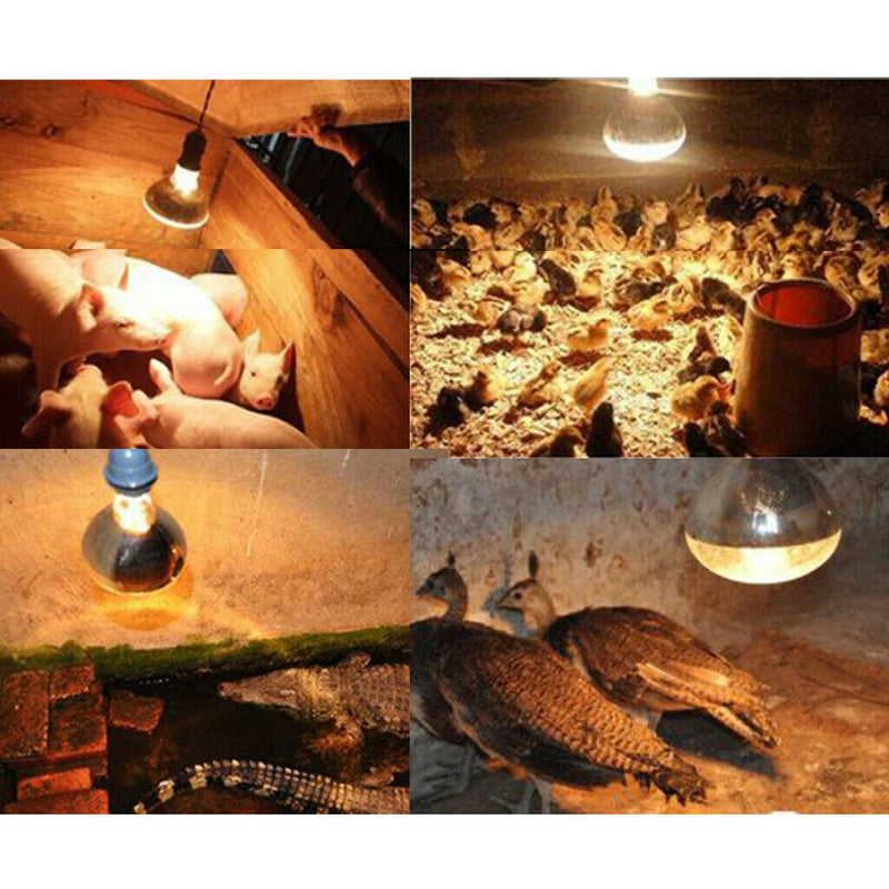 2xReptile Heat Lamp Lightbulb Infrared Heater Pig Sheep Breeding Heat Lamp Bulb