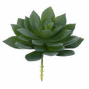 Echeveria Lotus Artificial Plants Artificial Succulents House / Office / Ga U4I1