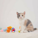 Durable Cat Bouncy Ball Training Tool Activity Pet Interactive Essential Toys