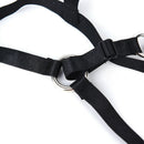 Women Girls Sexy Leather Halterneck Gothic Body Strap Harness Top Punk Gothic FT