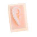 4 Pieces Silicone 1:1 Lifesize Ear Acupuncture Statue School Study Set
