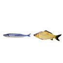 2pcs Pet Kitten Moving Wagging Fish Toys Cat Chew Training Kicker For Cat