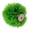 Aquarium Artificial Water Plant Grass Ball Ornament Landscape Decor(Green) A