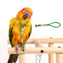 Pet Bird Mirror & Perch +Birds Harness Leash