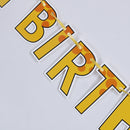 happy birthday giraffe paper banner hanging diy party decor bunting supplies OZ