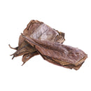 20Pc catappa leaves almond tree aquarium clean tool terminalia leaf about 50-6M&