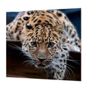 DIY Animal Lepoard Craft 5D Diamond Painting Embroidery Cross Stitch Kits
