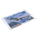 5D Diamond Painting Kits Full Drill Diamond Embroidery 12x16 Inches eagle