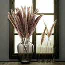 15Pcs Natural Dried Pampas Grass Reed Flower Bunch Wedding Bouquet Home Decors
