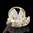 70mm Handheld 10X Magnifier Magnifying Glass Loupe for Reading Jewelry