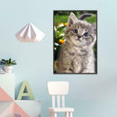 5D DIY Full Drill Diamond Painting Kitten Cross Stitch Embroidery Mosaic