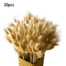 20PcRabbit Tail Grass Bunny Tails Dried Flowers Bouquets Lagurus Home Supplies