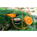 Iron Bird Feeder Hanging Feed Support Hanging Coating for Garden Accessory