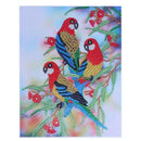 5D Special Shaped Diamond Painting Birds Picture Partially Drilled Rhinesto N6P8