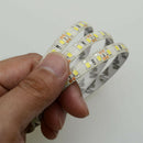 Waterproof 12V 5M 2835 600 SMD Leds LED Strip Light Natural White Tape Lamp New