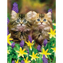 5D DIY Diamond Painting Kits Cats in Flowers Full Round Drill Handicrafts