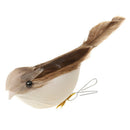 2Pcs Plastic Bird Nest 4Pcs Artificial Birds 10pcs Eggs Nature Craft DIY