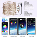 Copper Wire USB Bluetooth Light String Christmas Decoration