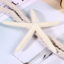 Simple Style Natural Sea Star Binding Rope Curtain Tieback Strap Holder