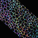 Holographic Nail Foil Transfer Stickers Starry Decals Sliders for Nail Art Decor